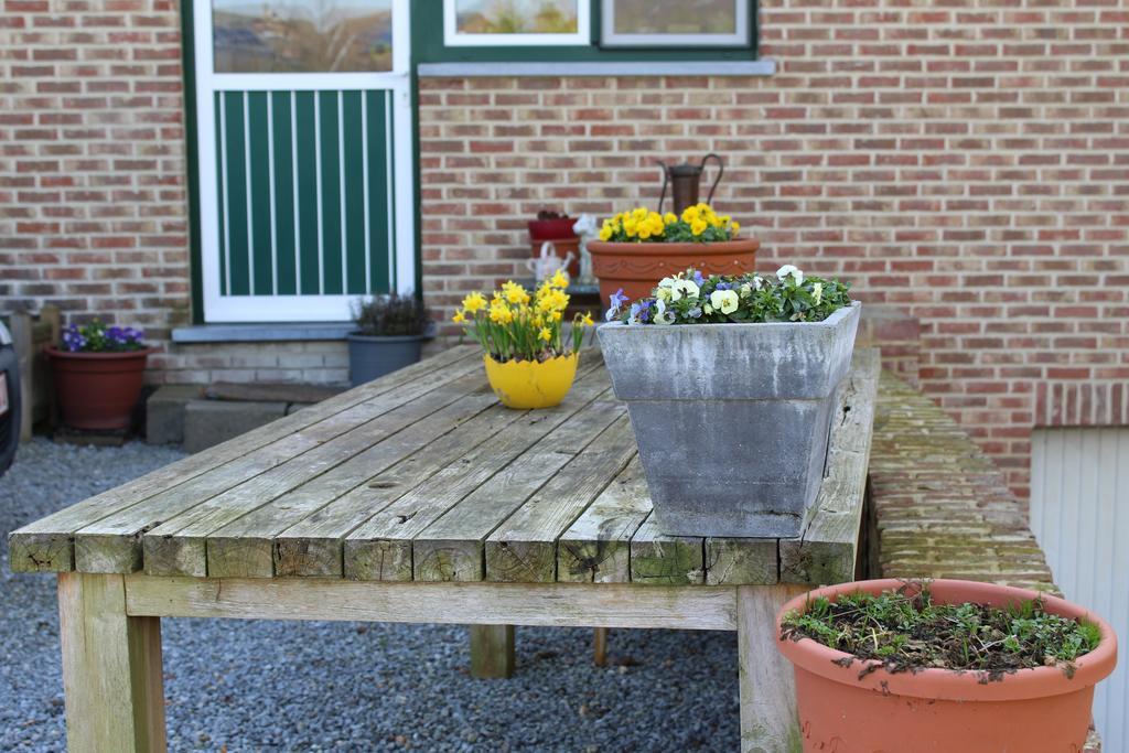 B&B De Vroling Wellen Zewnętrze zdjęcie