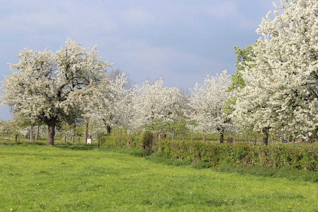 B&B De Vroling Wellen Zewnętrze zdjęcie